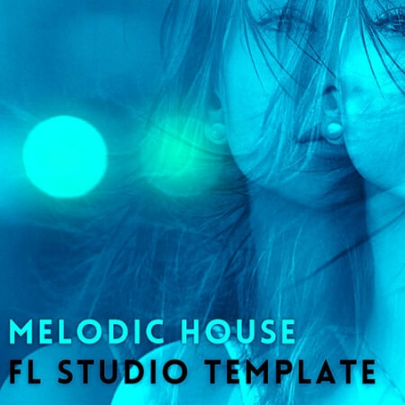 Amir Farhoodi Melodic House Vol.2 WAV DAW Templates